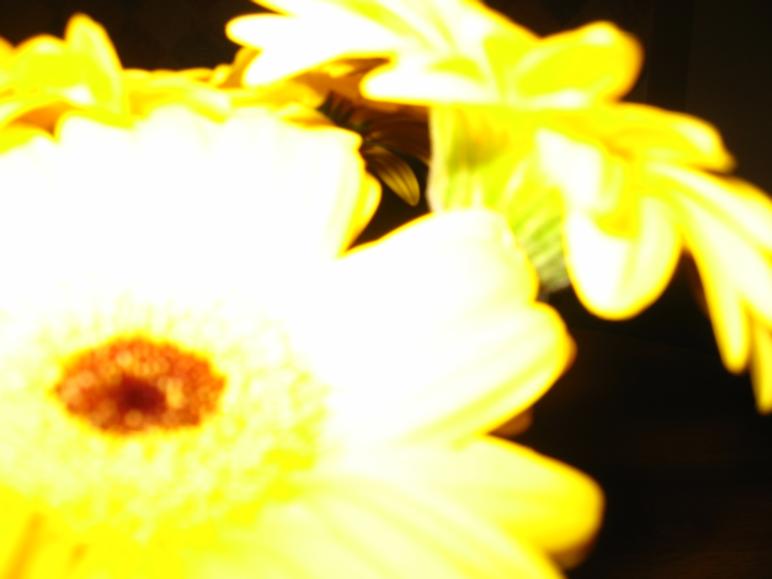 overexposed.JPG