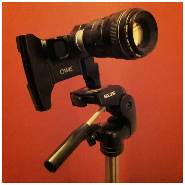 OwleBubo_EnCinema35mm.jpg
