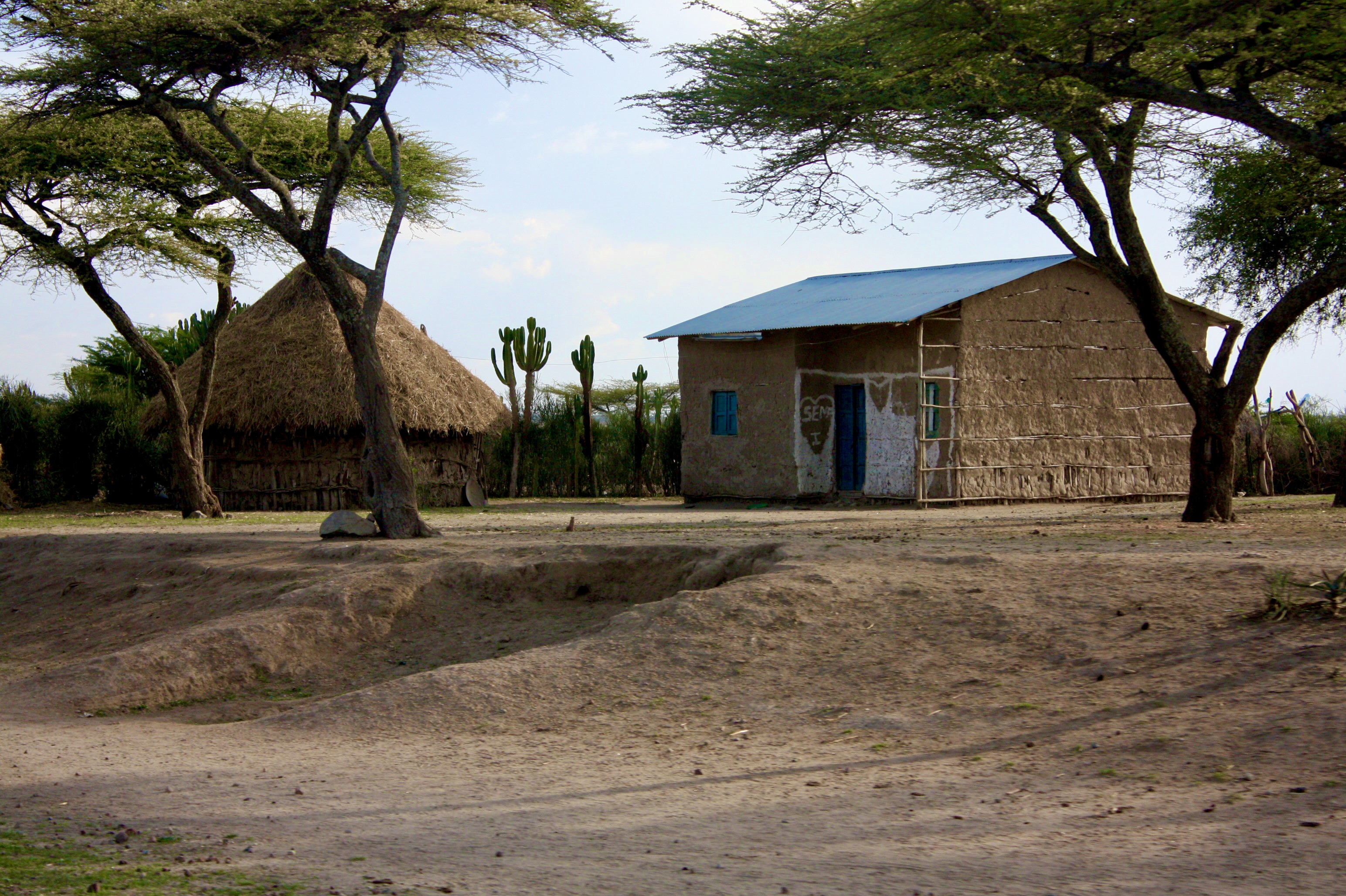 P06.JPG