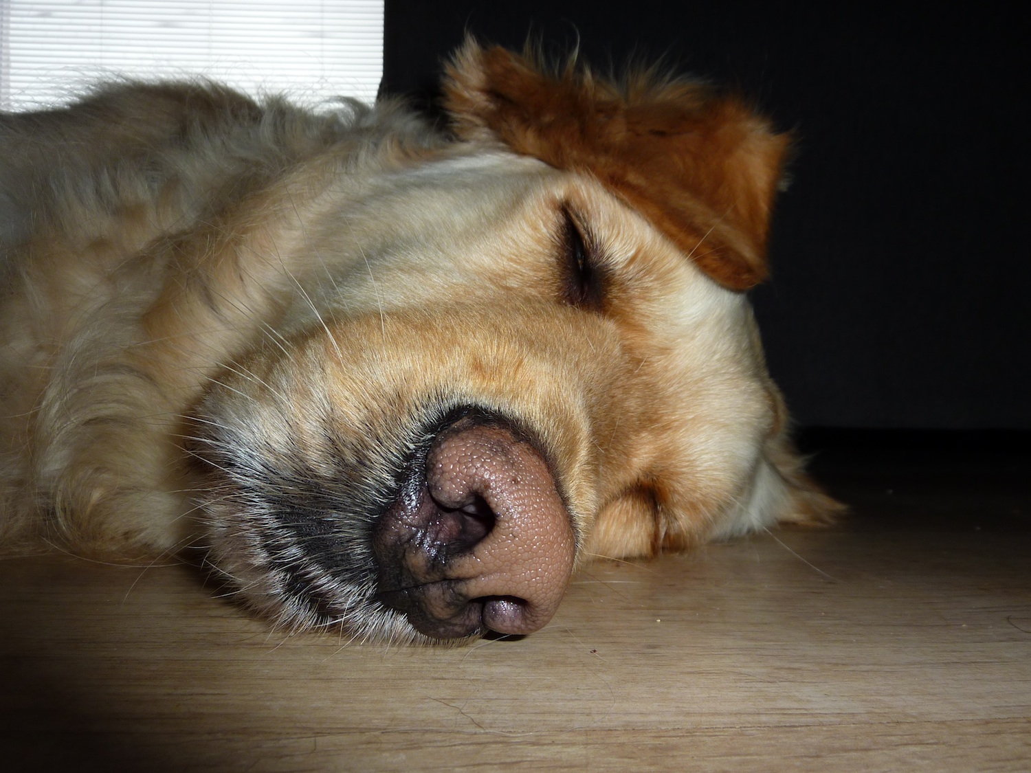 P1000016.jpg