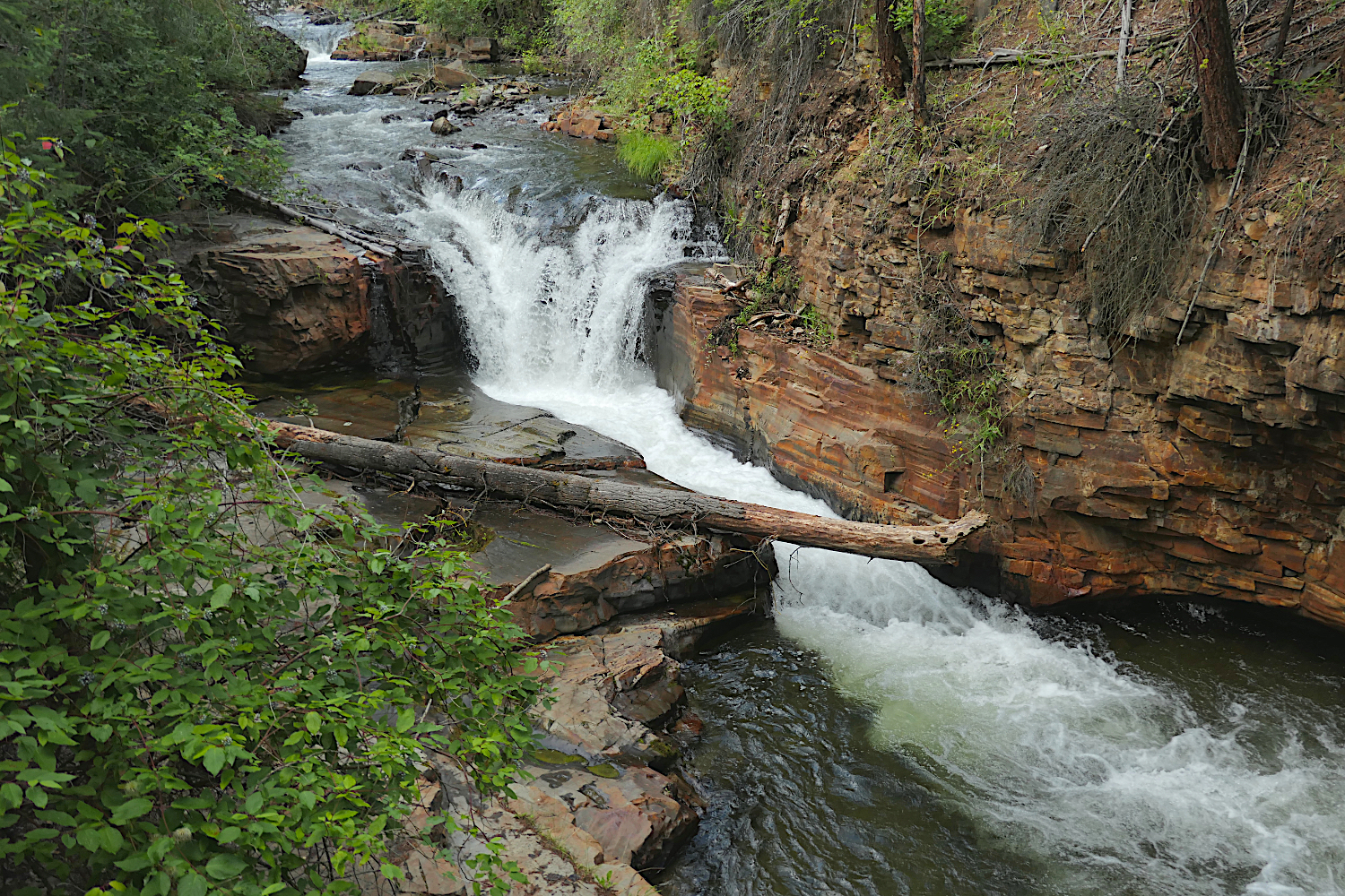 P1000065.jpg