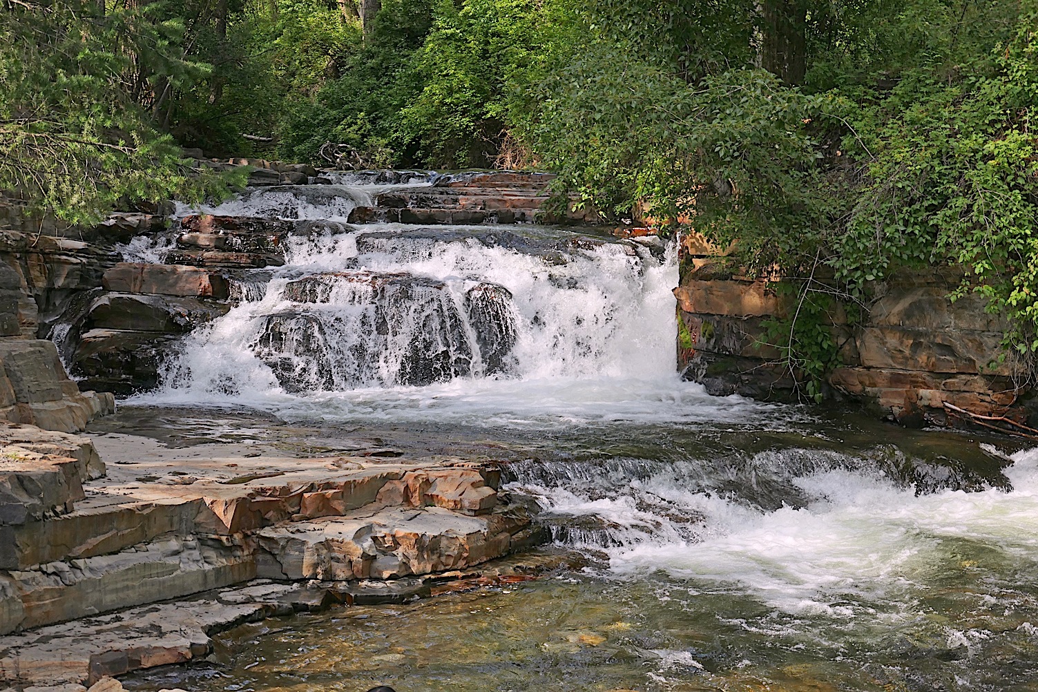P1000073.jpg