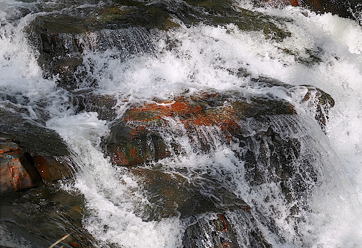 P1000074A.jpg