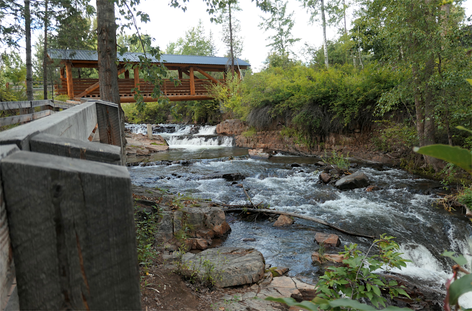P1000075.jpg