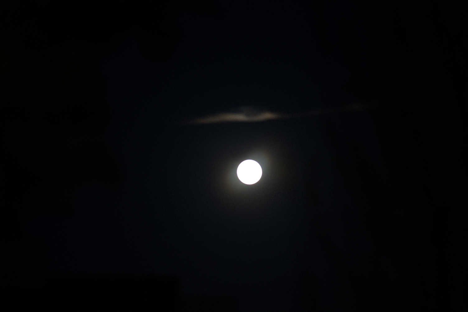 P1000150DL.jpg