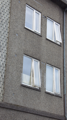 P1000180.jpg