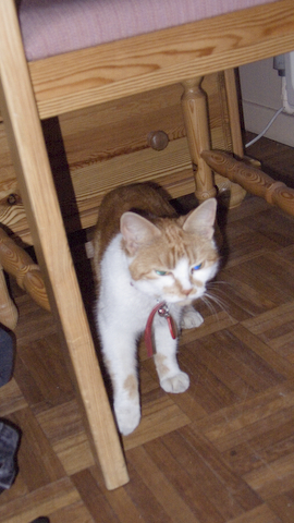 P1000212.jpg