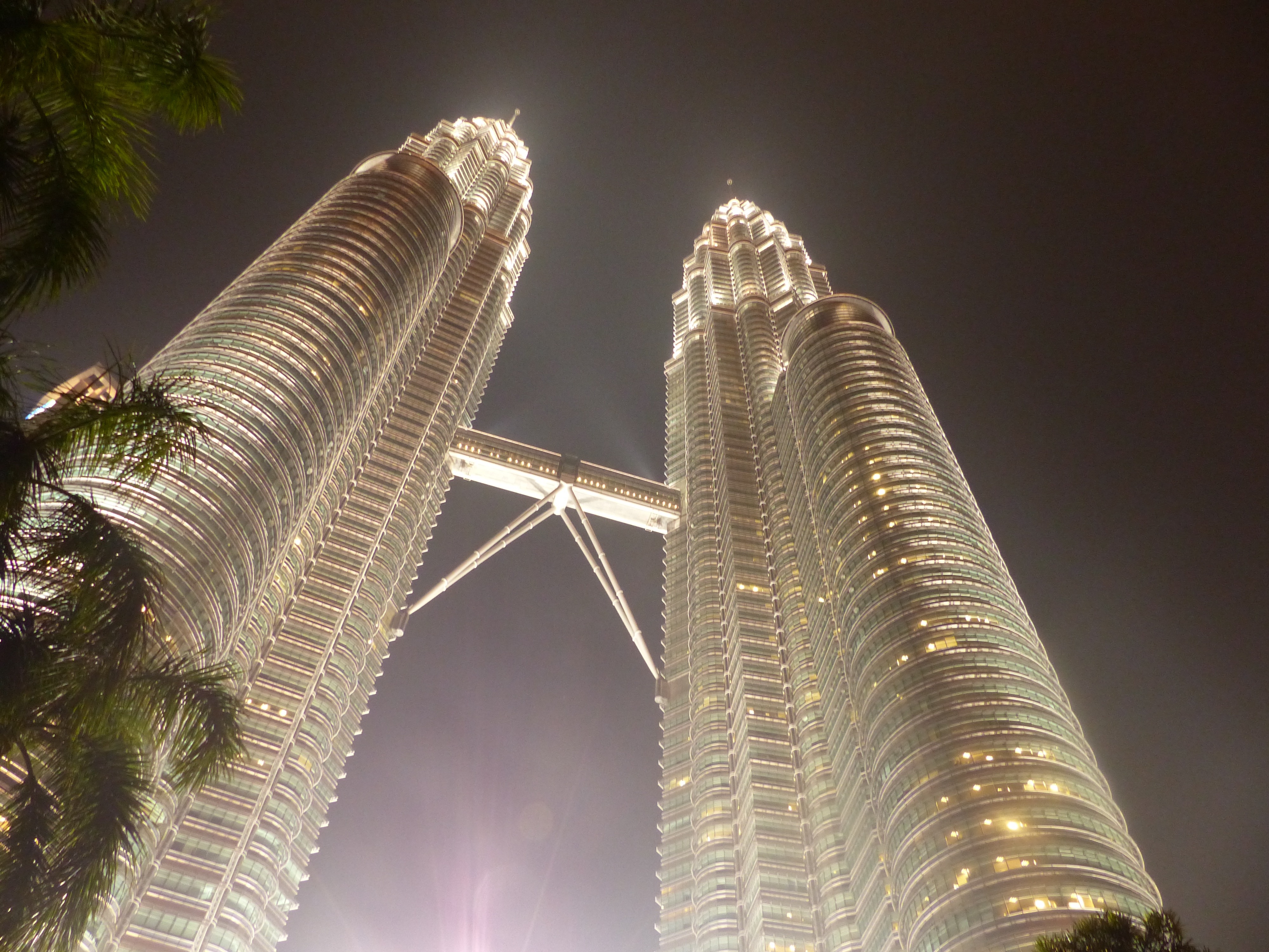 P1000222.jpg