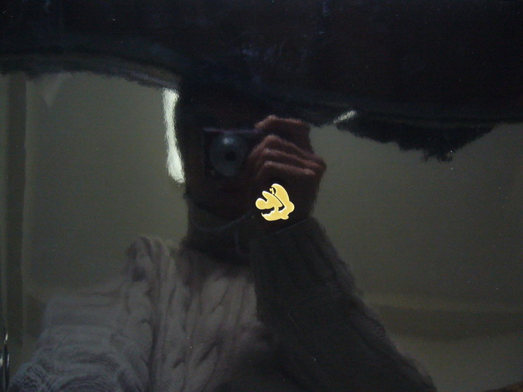 P1000711.JPG.jpg