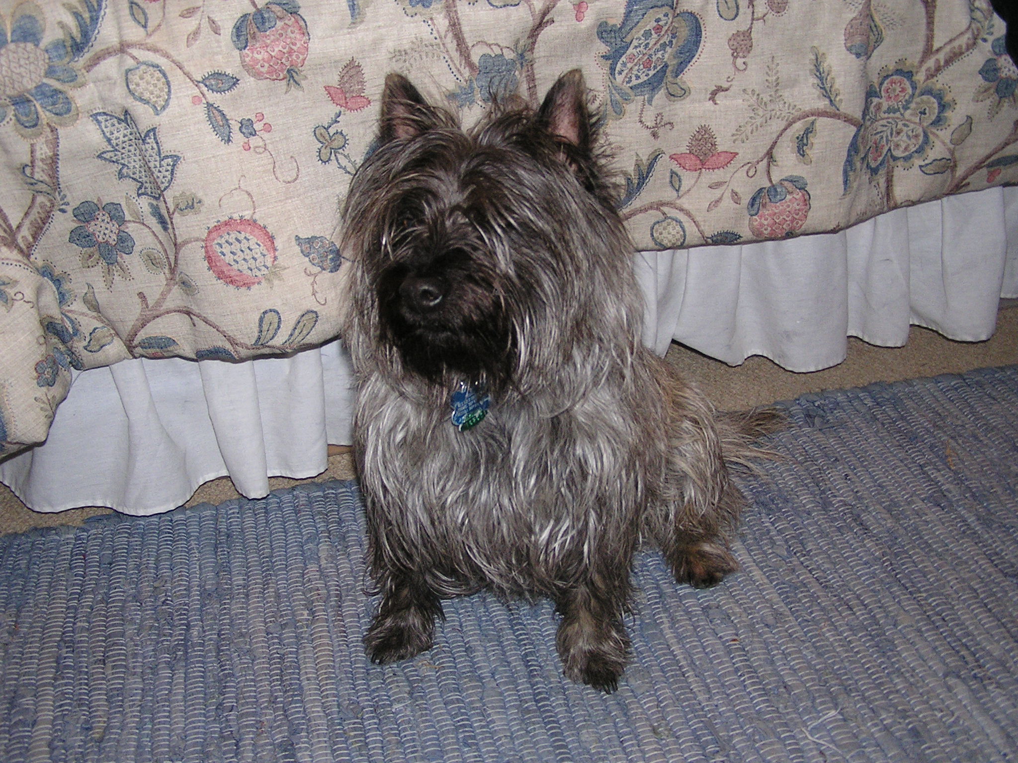 P1010009.JPG