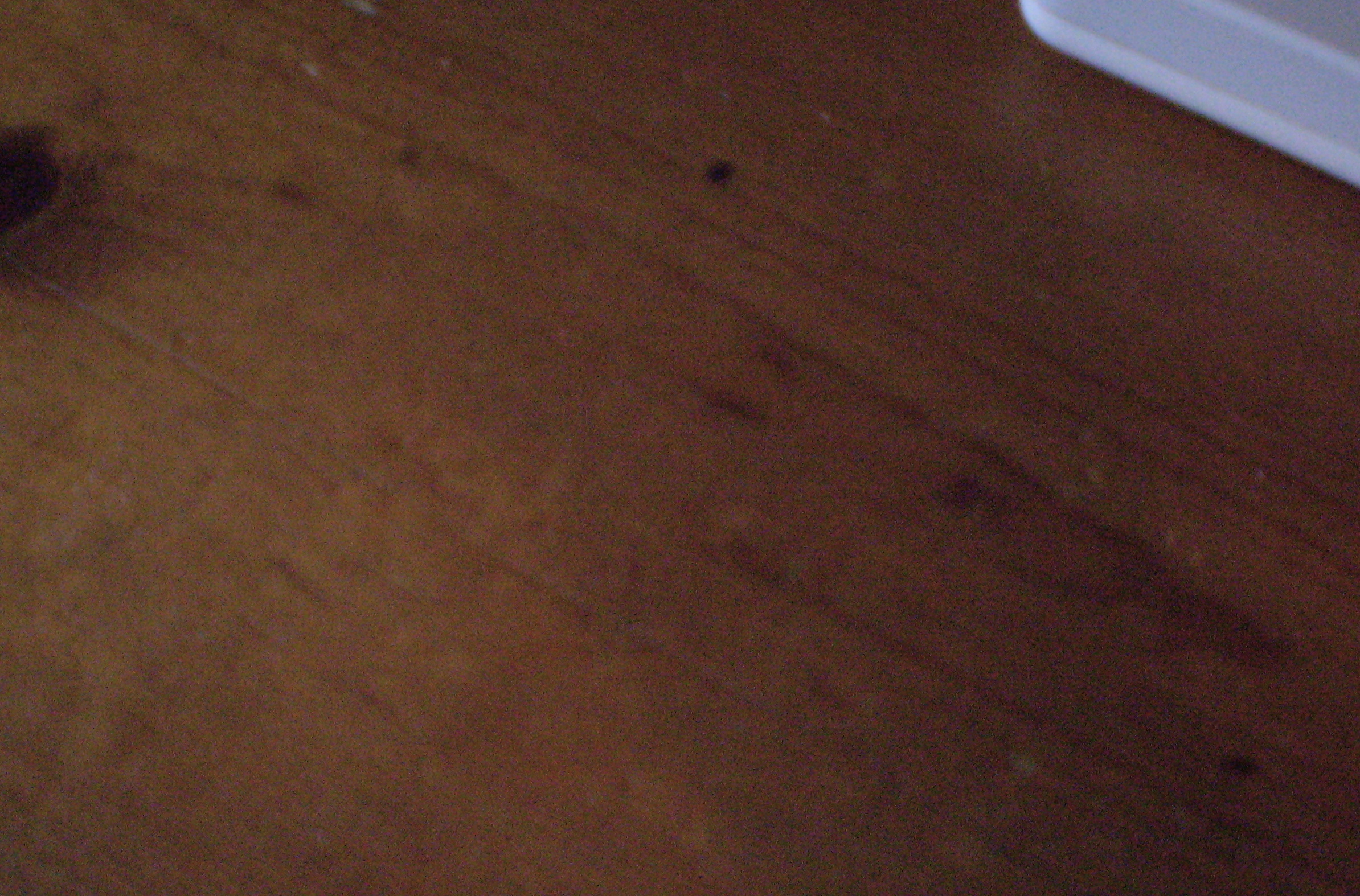P1010082.JPG