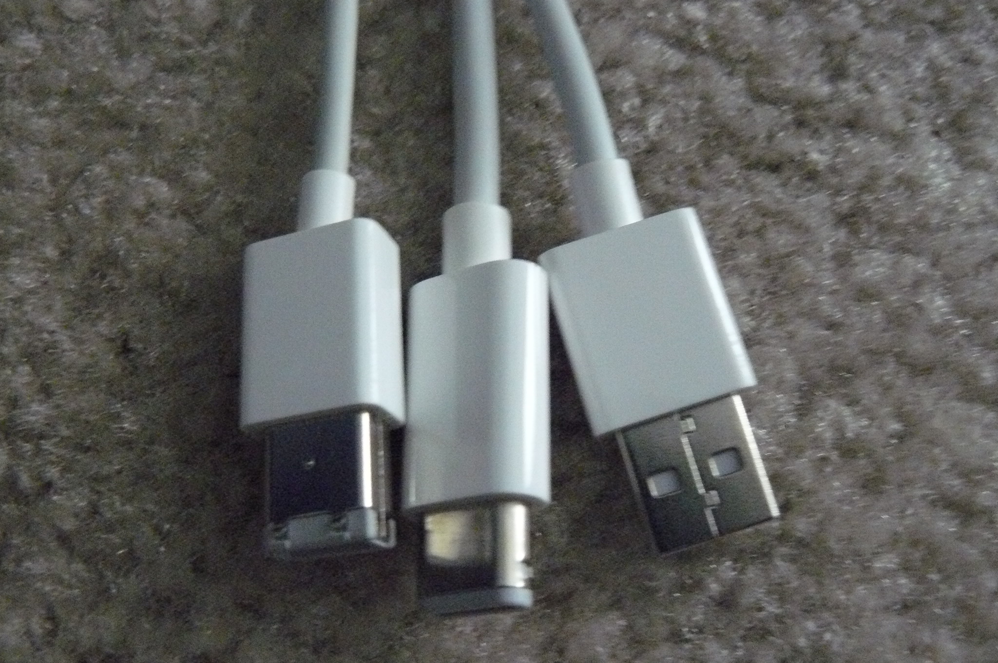 P1010227.JPG