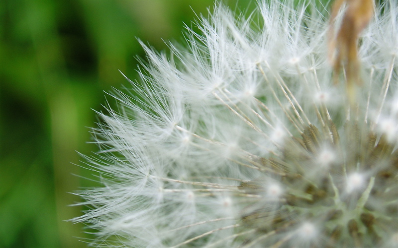 P1010266_2.jpg