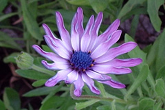 P1110054.JPG