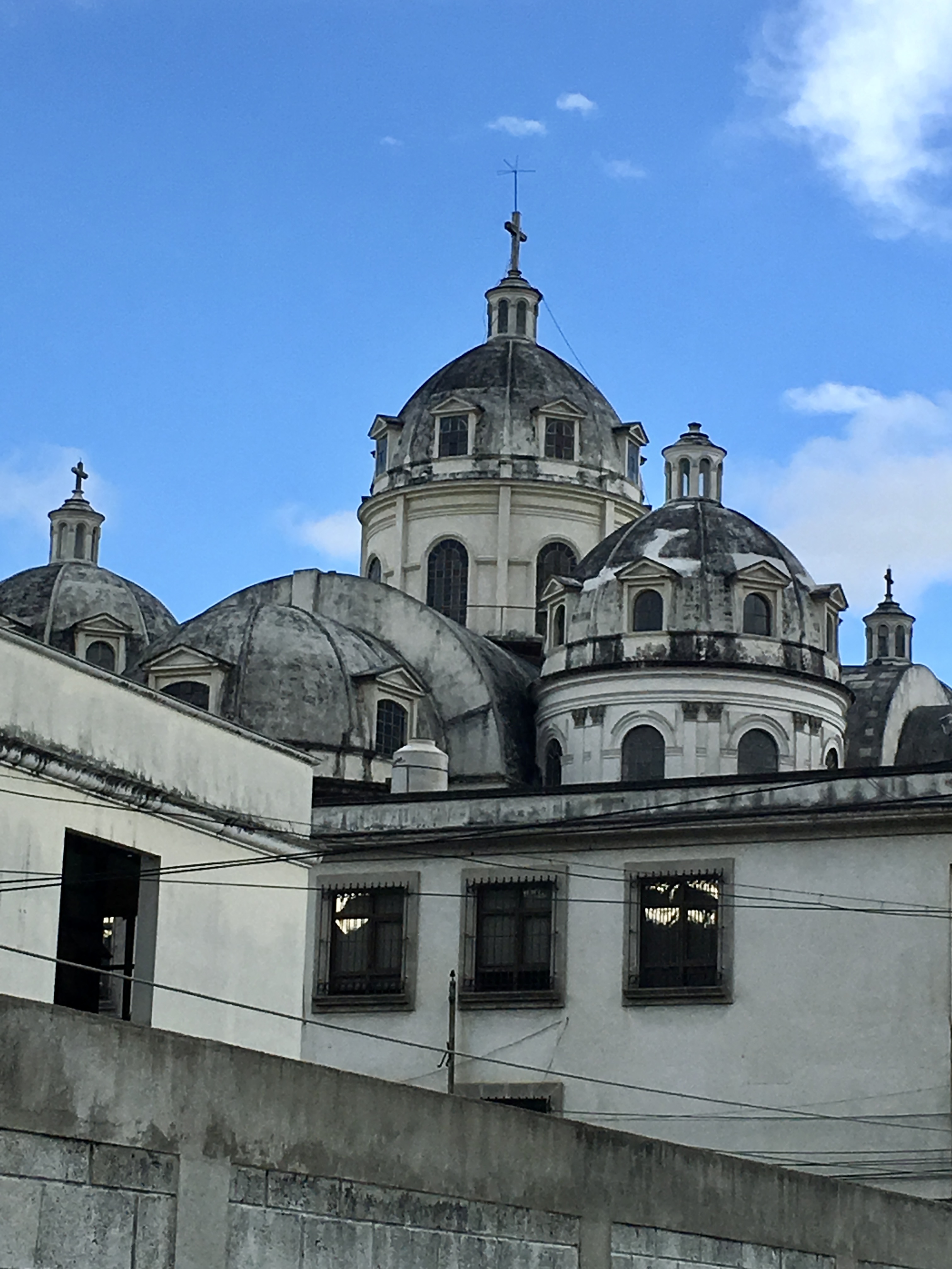 P13.JPG