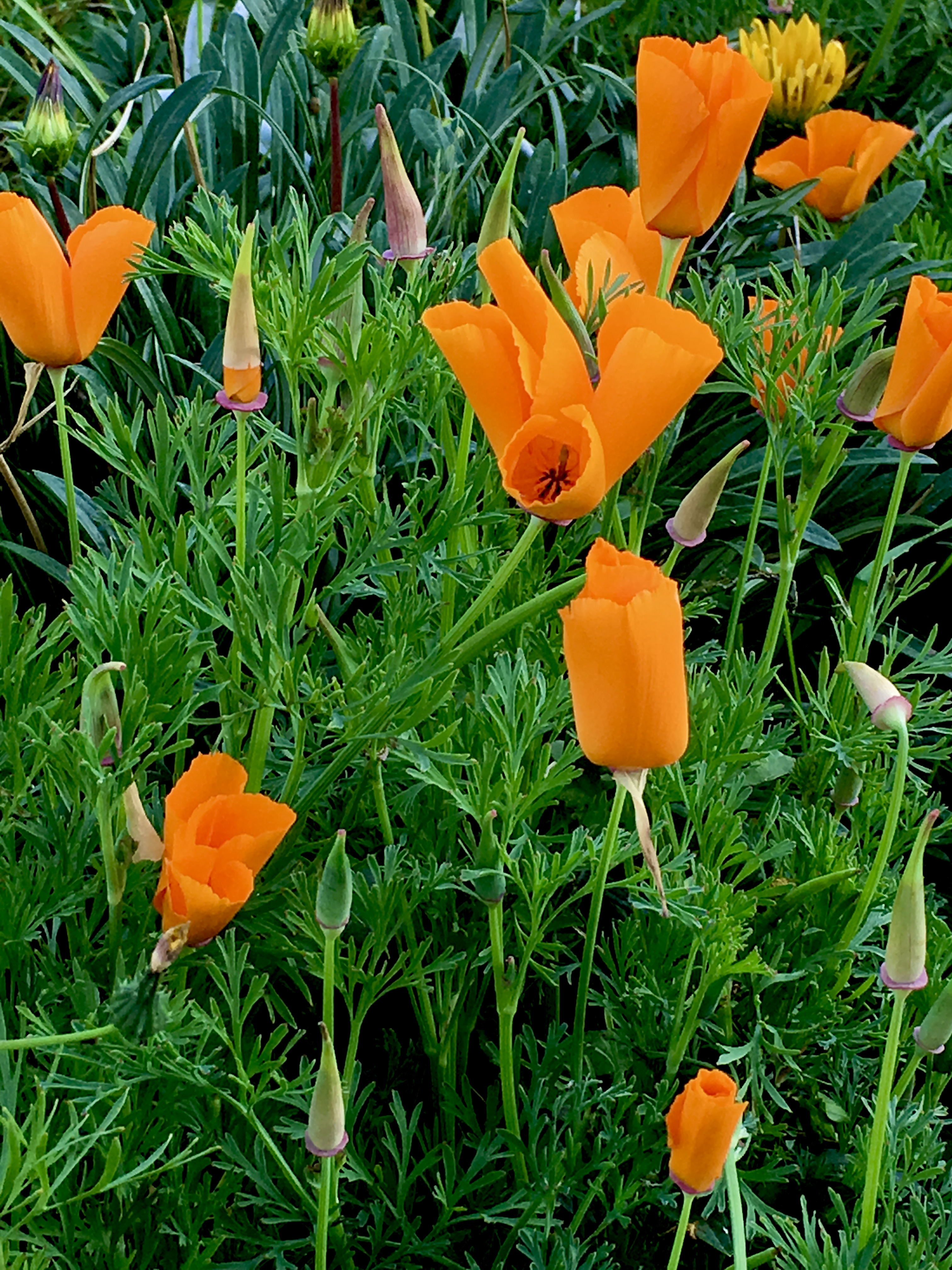 P14.jpg