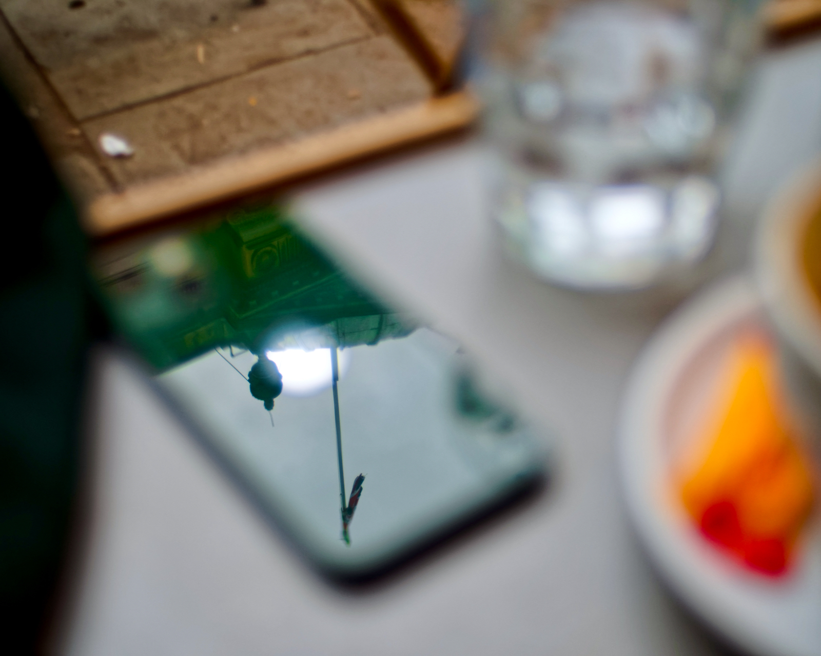 P2127957 (1).jpeg
