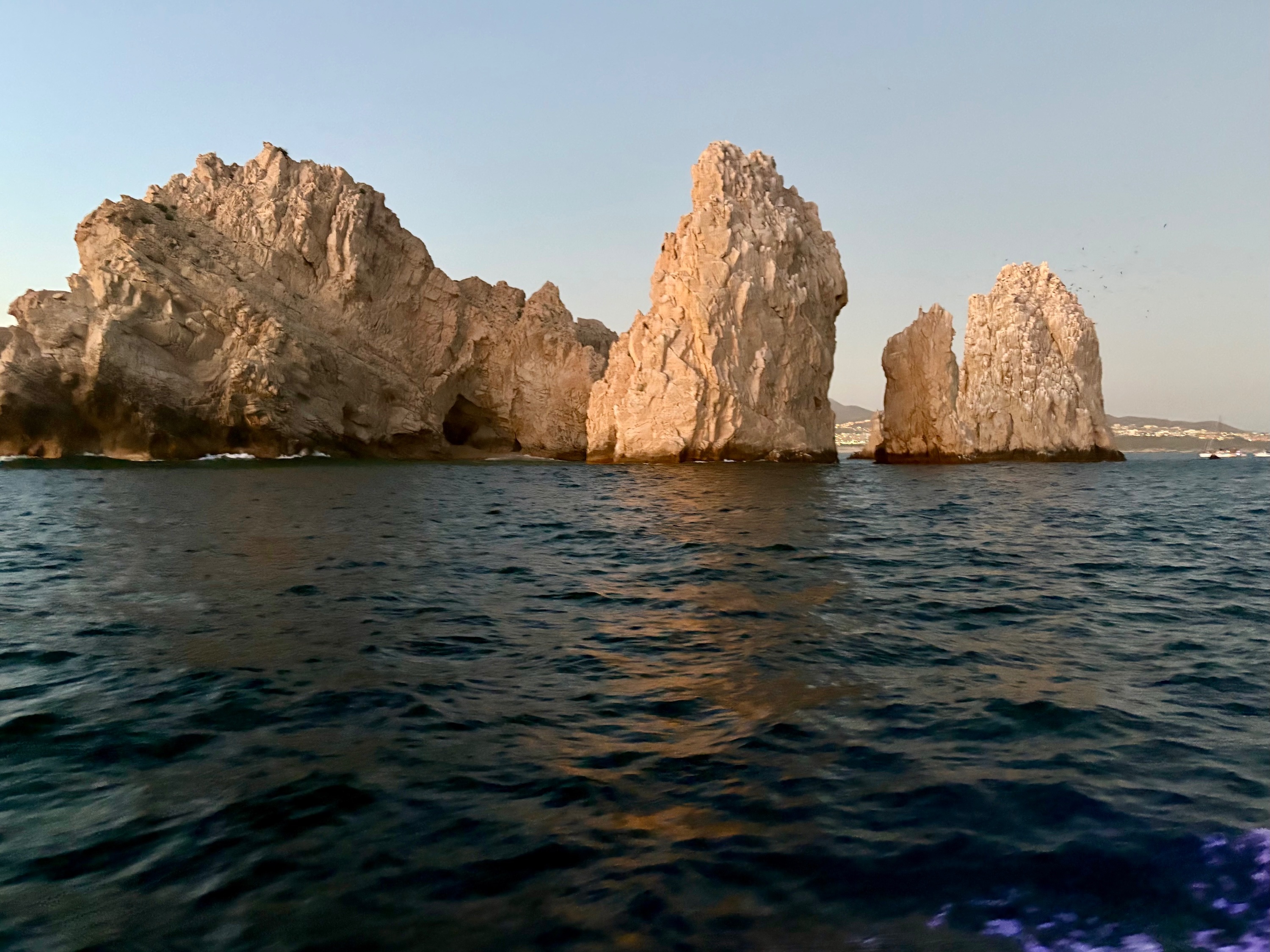 P31.jpg