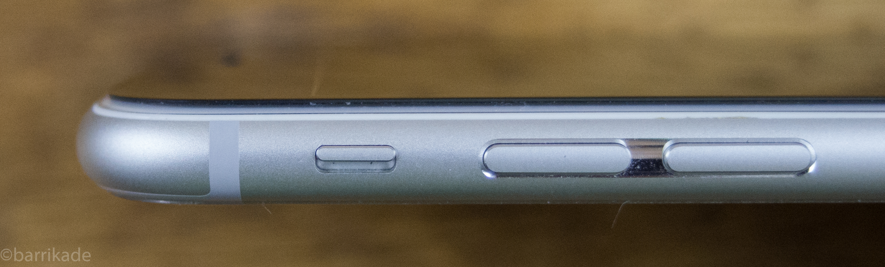 P3100015.jpg