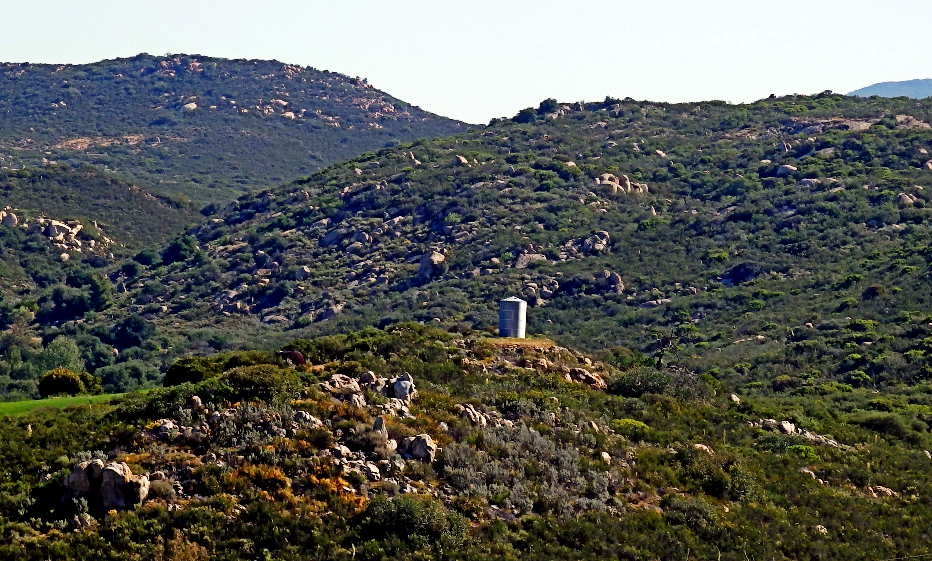 P4180099cx.jpg