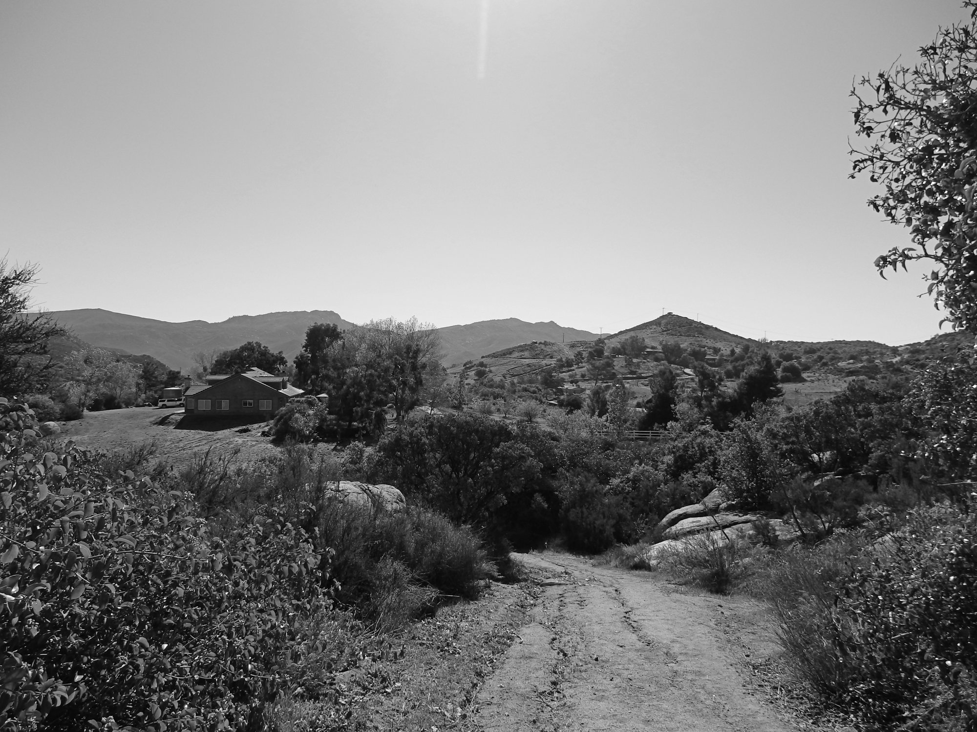 P4190182 xbw.jpg