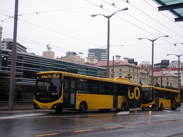 P6010044 - Copy.JPG