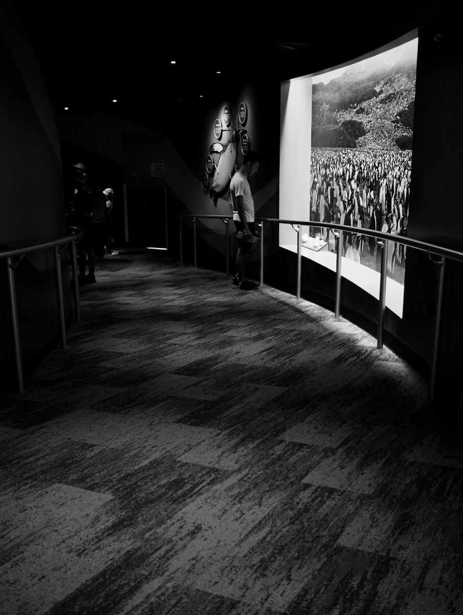 P6170182.jpeg