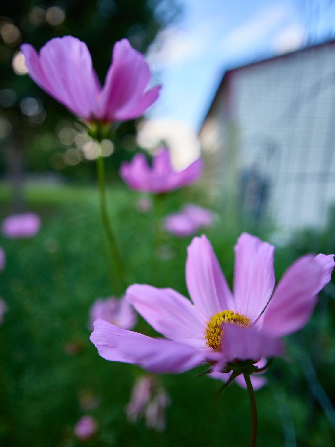 P7030343.jpg