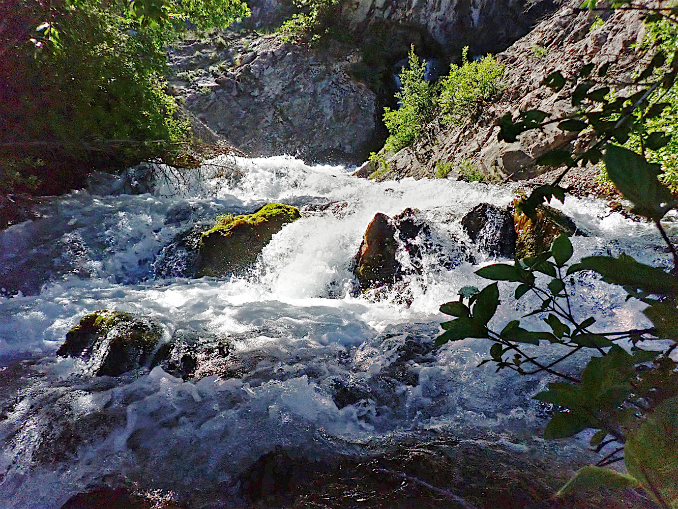 P7070352A.jpg