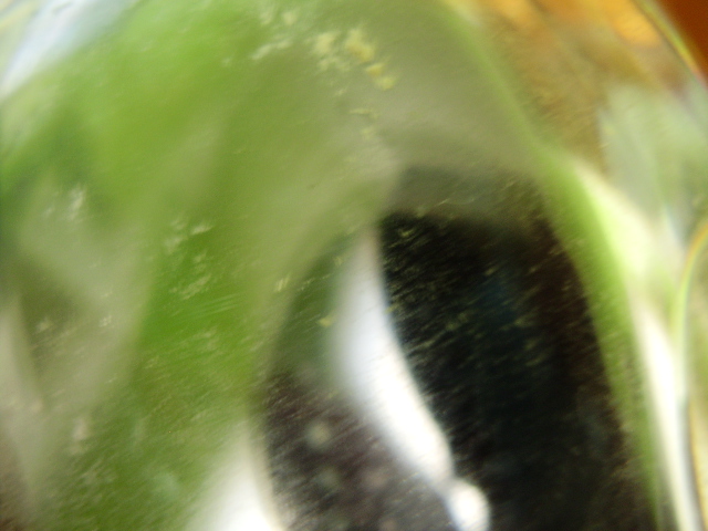 P7100062.JPG