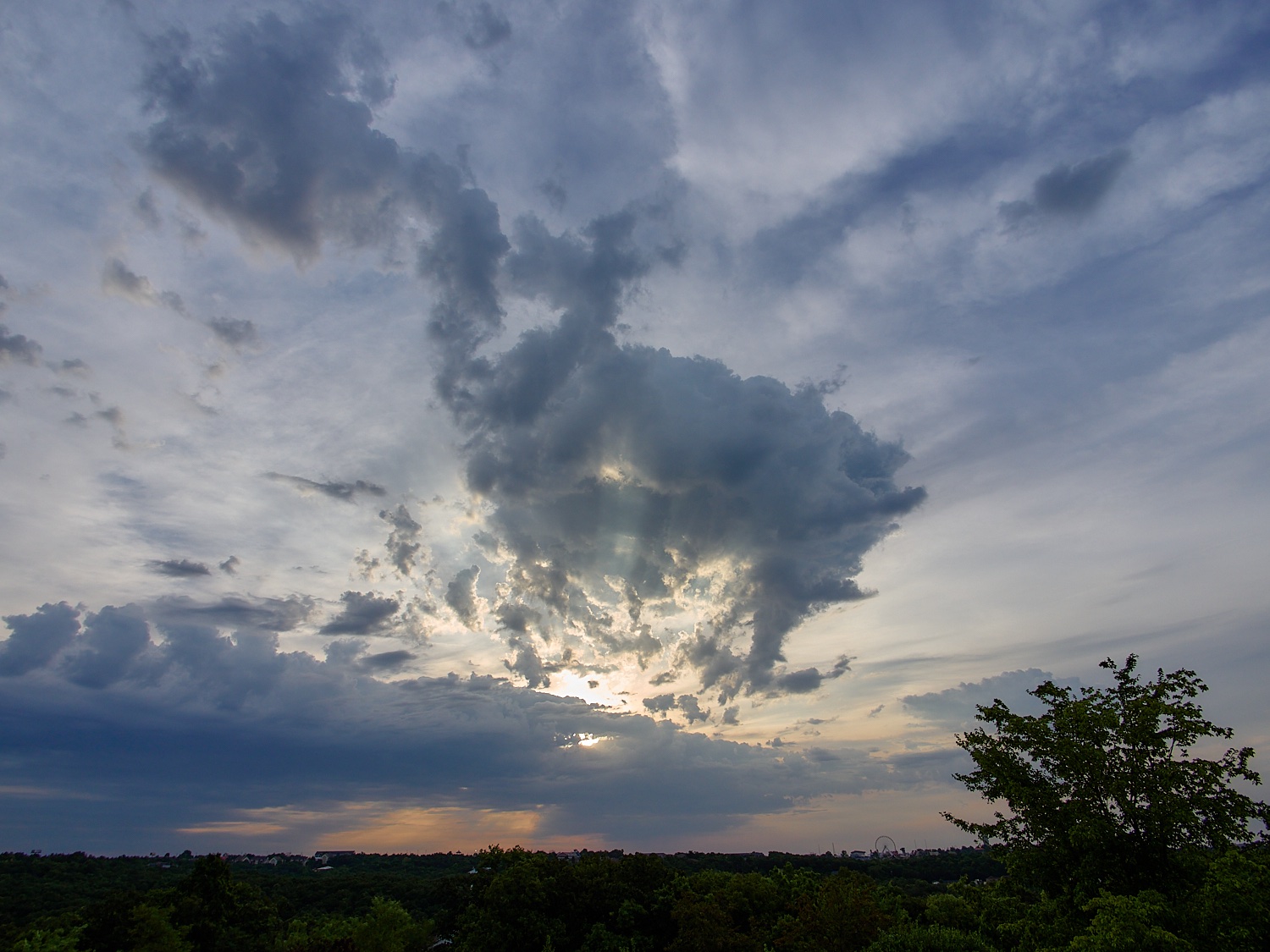 P7280717.jpg