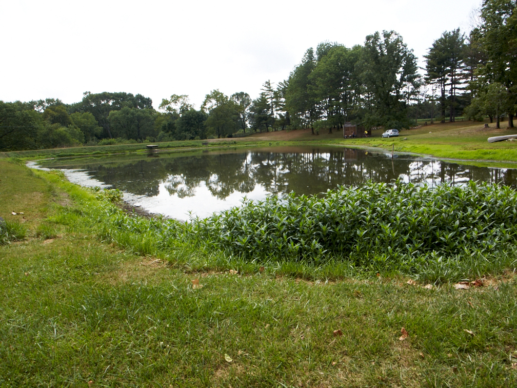 P8052821.jpg