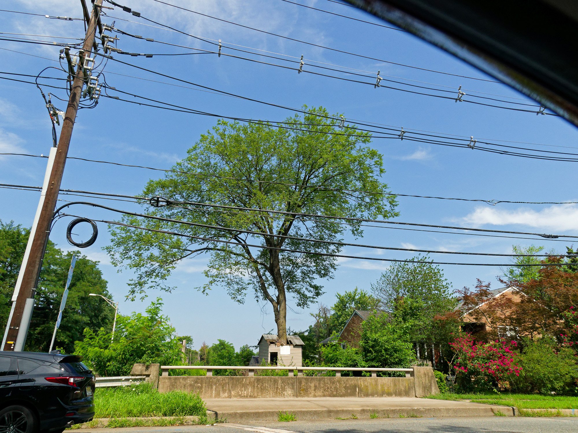 P8090170_DxO2k.jpg