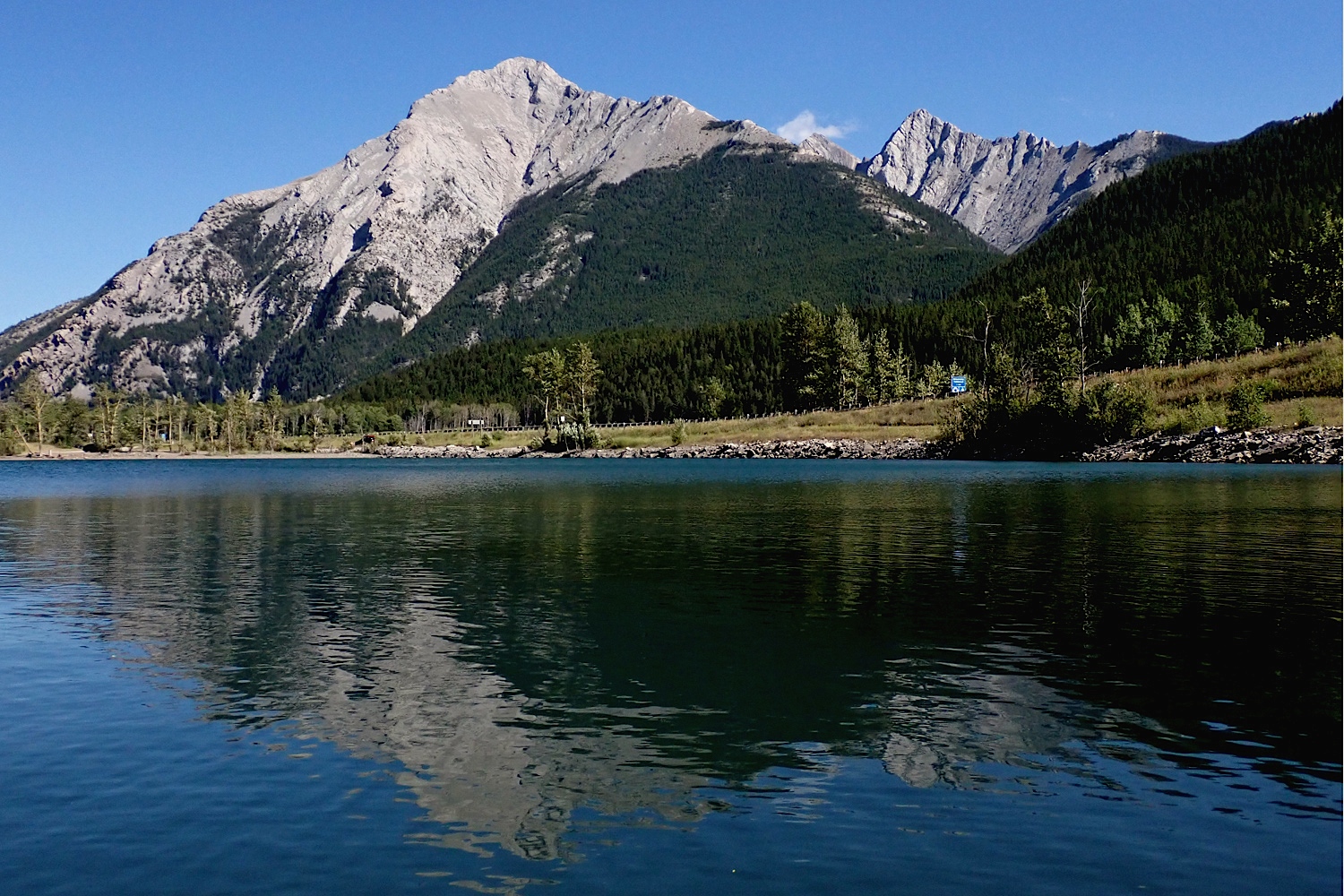 P8120357a.jpg