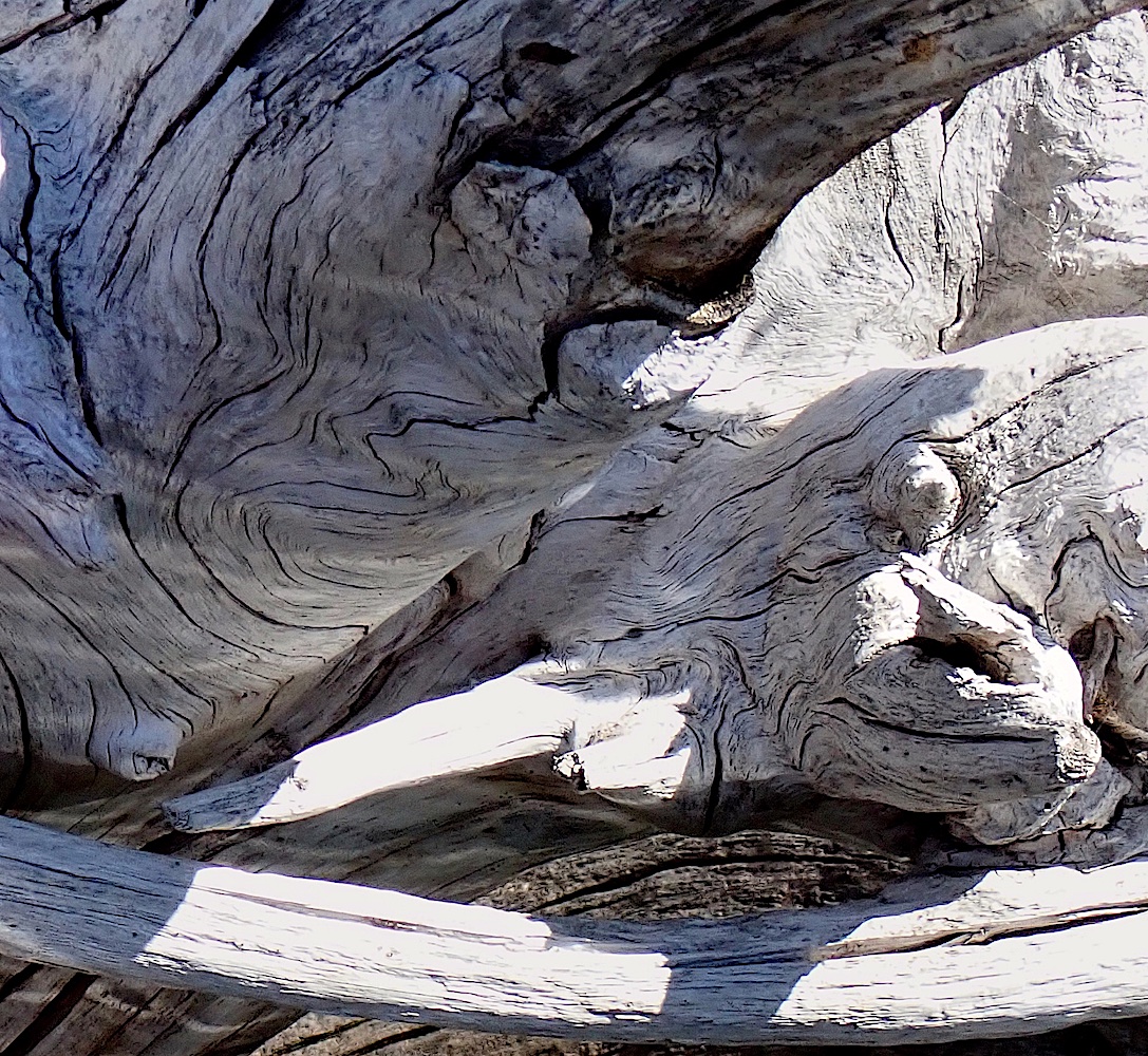 P8240506B.jpg