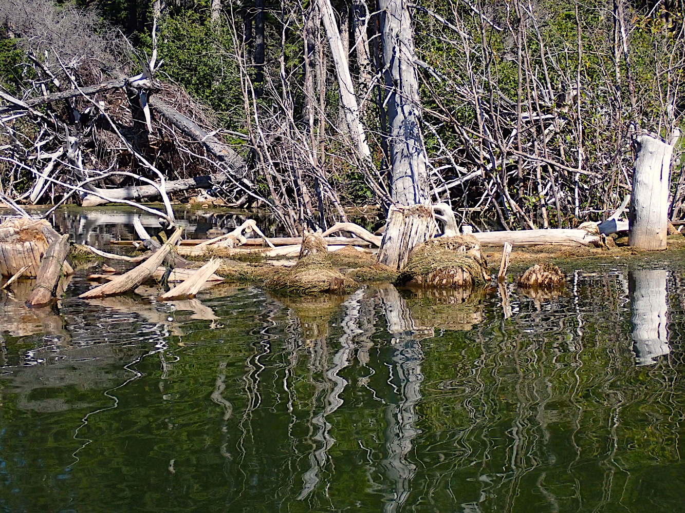 P8240517B.jpg