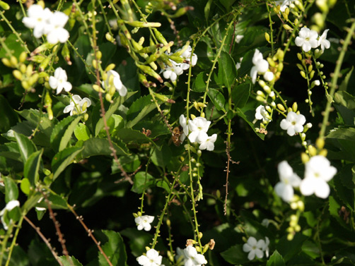 P9041643.jpg
