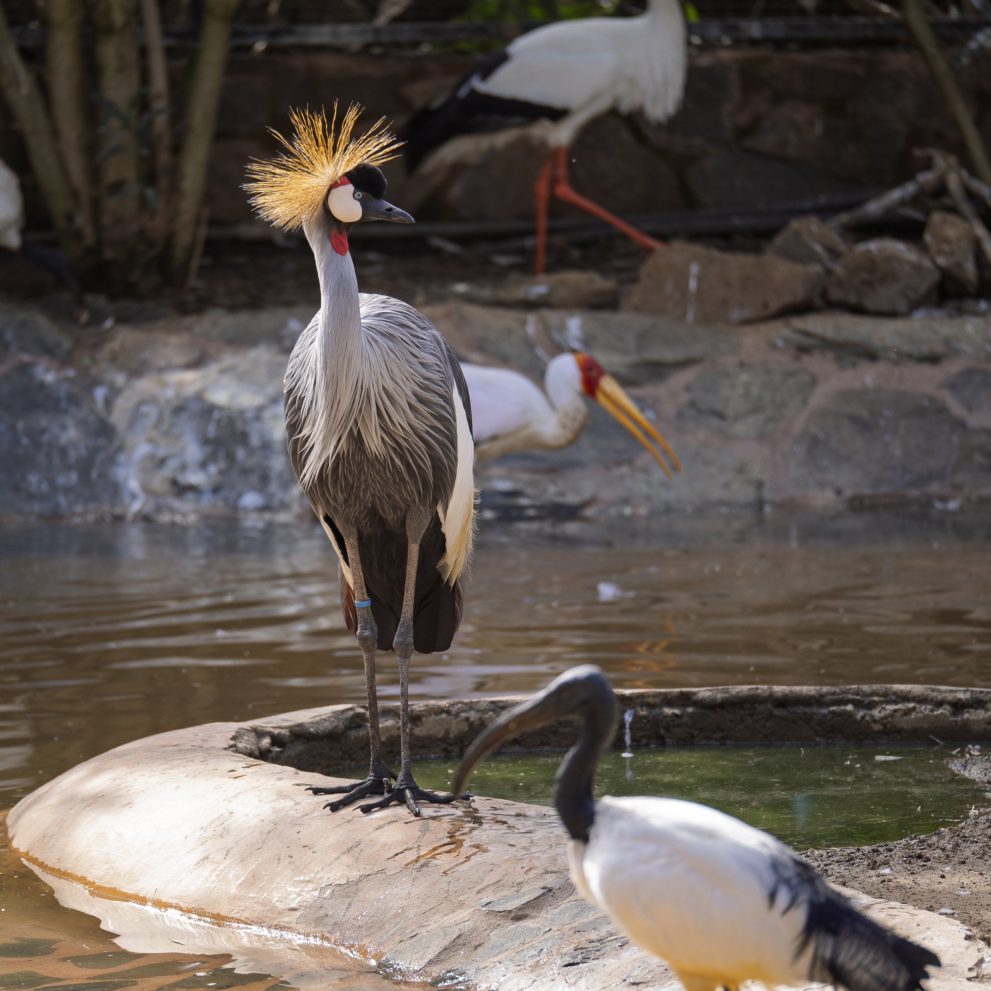 PalmitosPark20121226-5.jpg