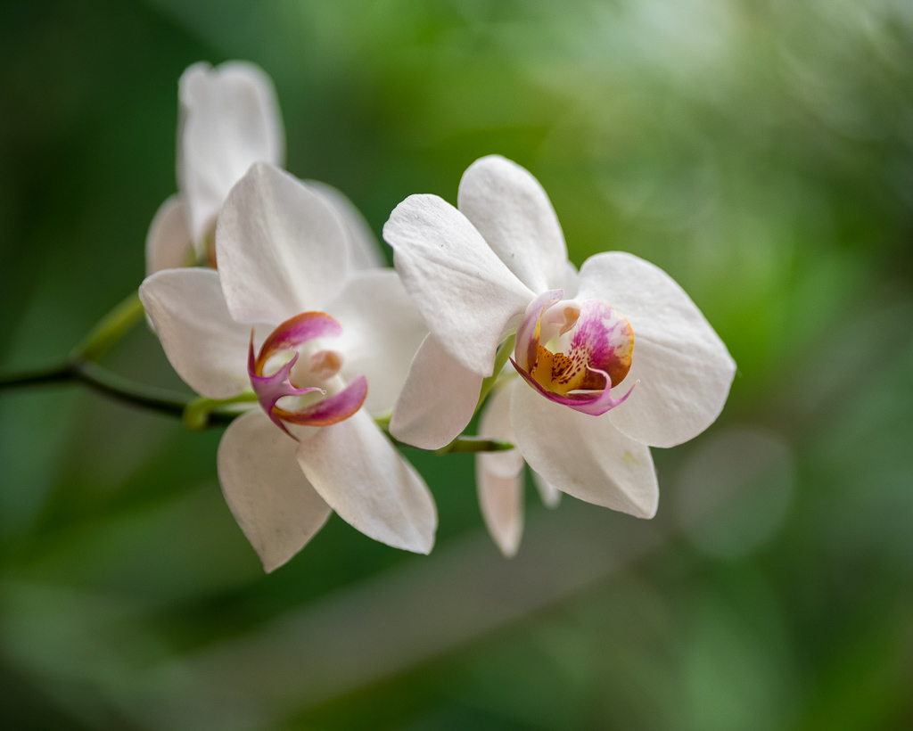 PalmitosPark20141021-1.jpg