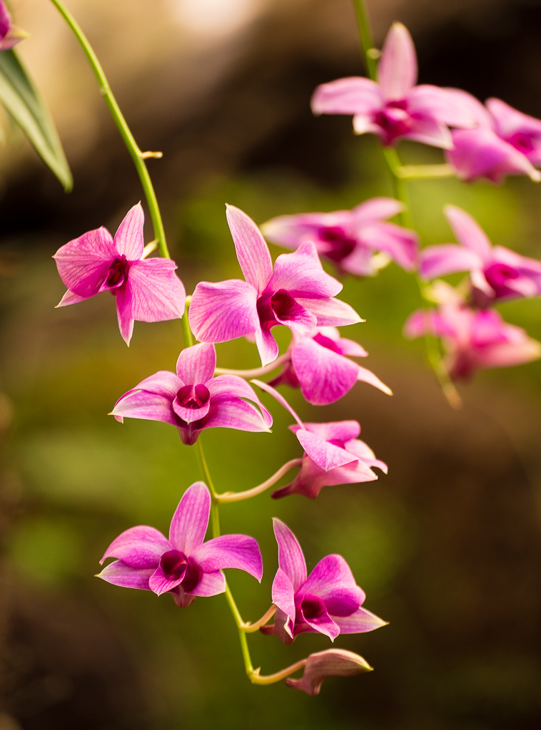 PalmitosPark20141226-1.jpg