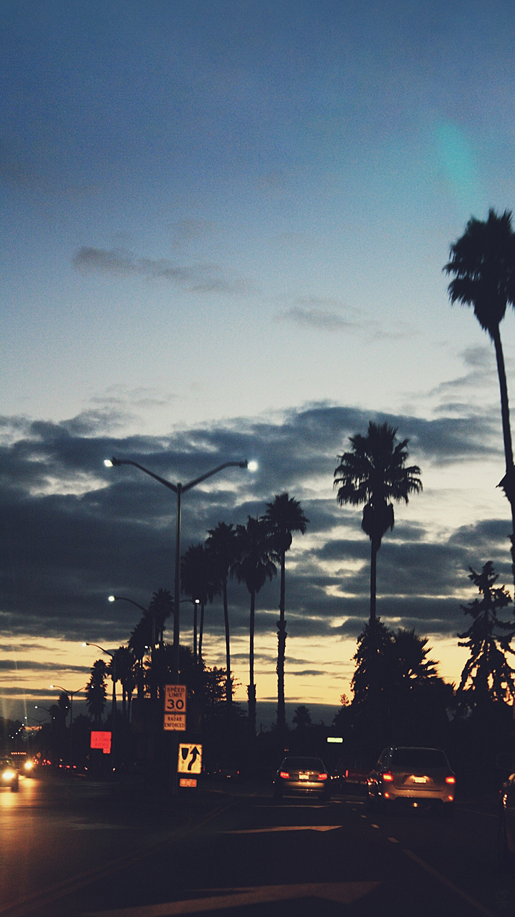 Palms 01.png