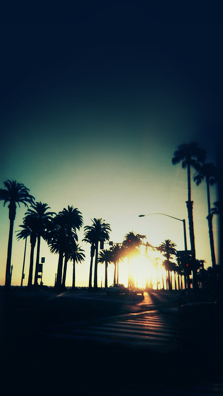 Palms 02.png