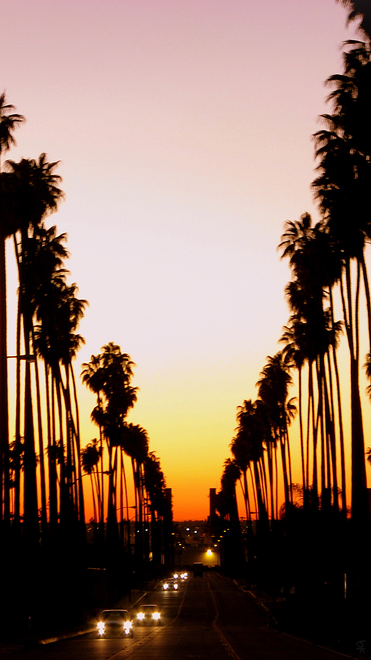 Palms 03.png