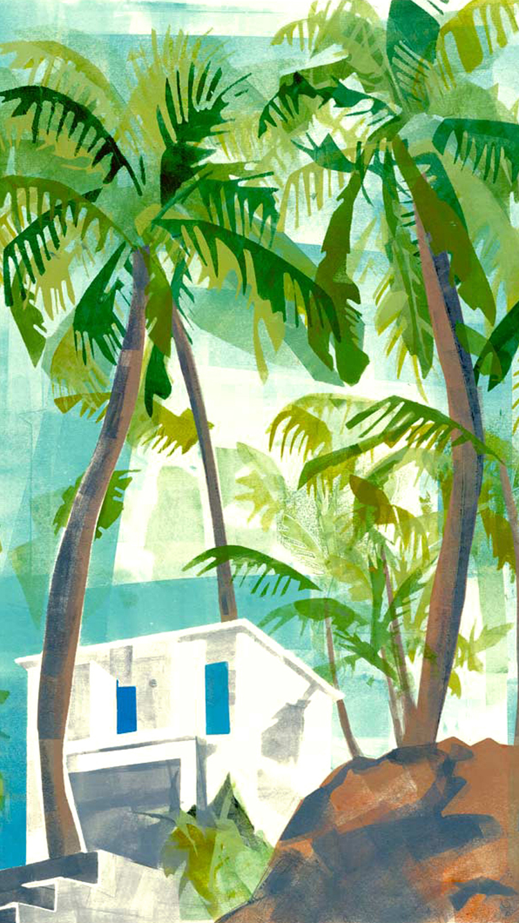 Palms.png