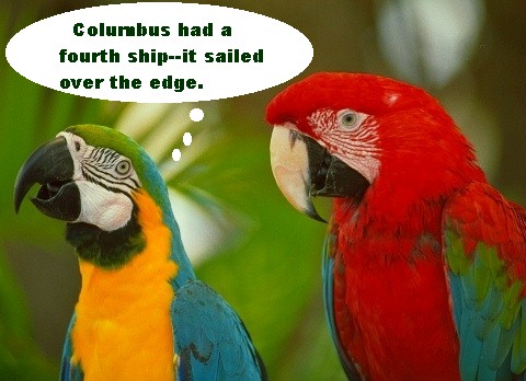 parrots.jpg
