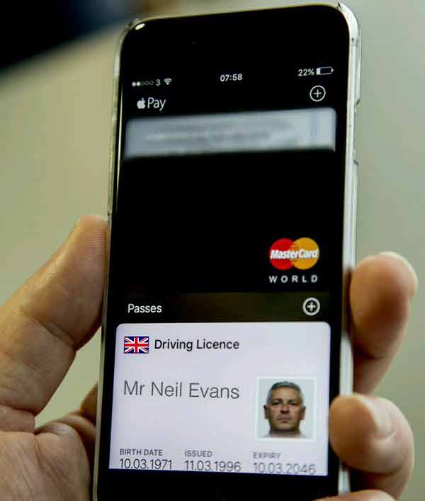 passbookdrivinglicenseuk.jpg