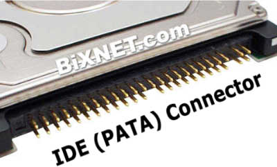 pata.jpg