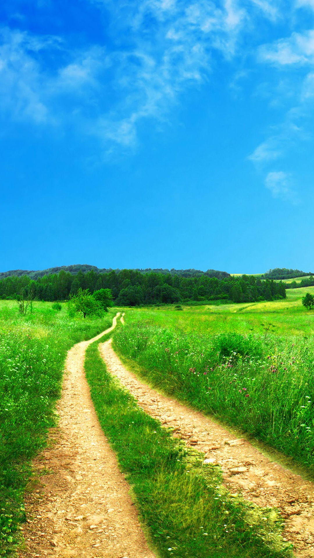 Path-to-Wild-iphone-6-wallpaper-ilikewallpaper_com.jpg