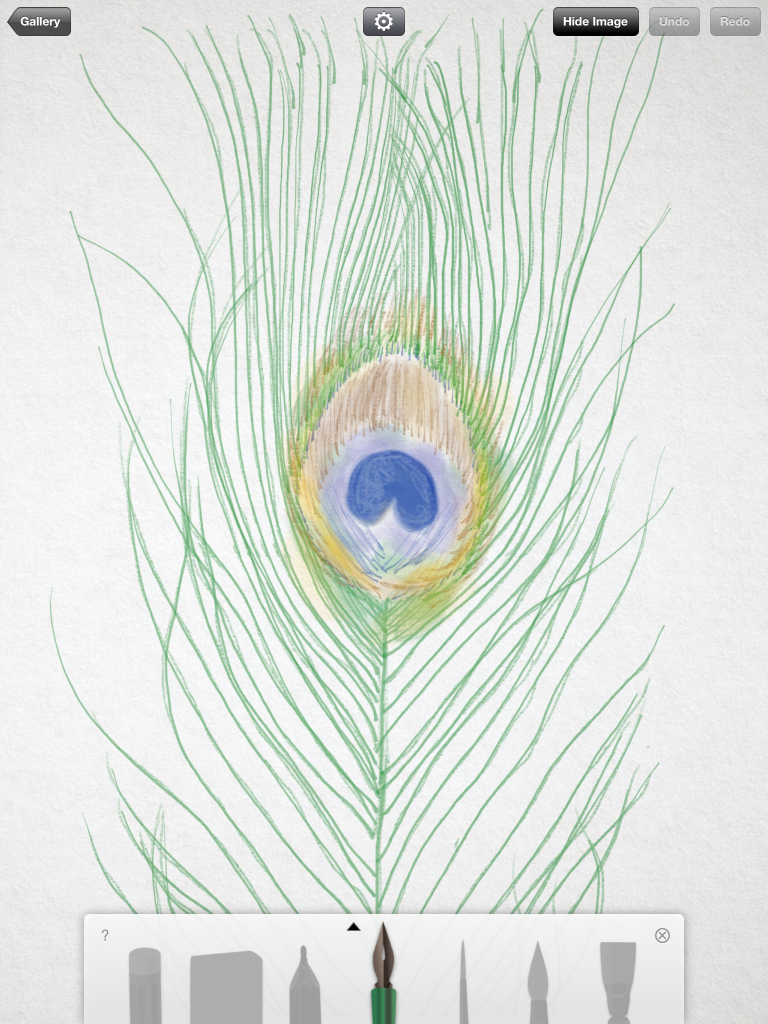 peacock with tools-50.jpg