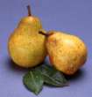 Pear.jpg